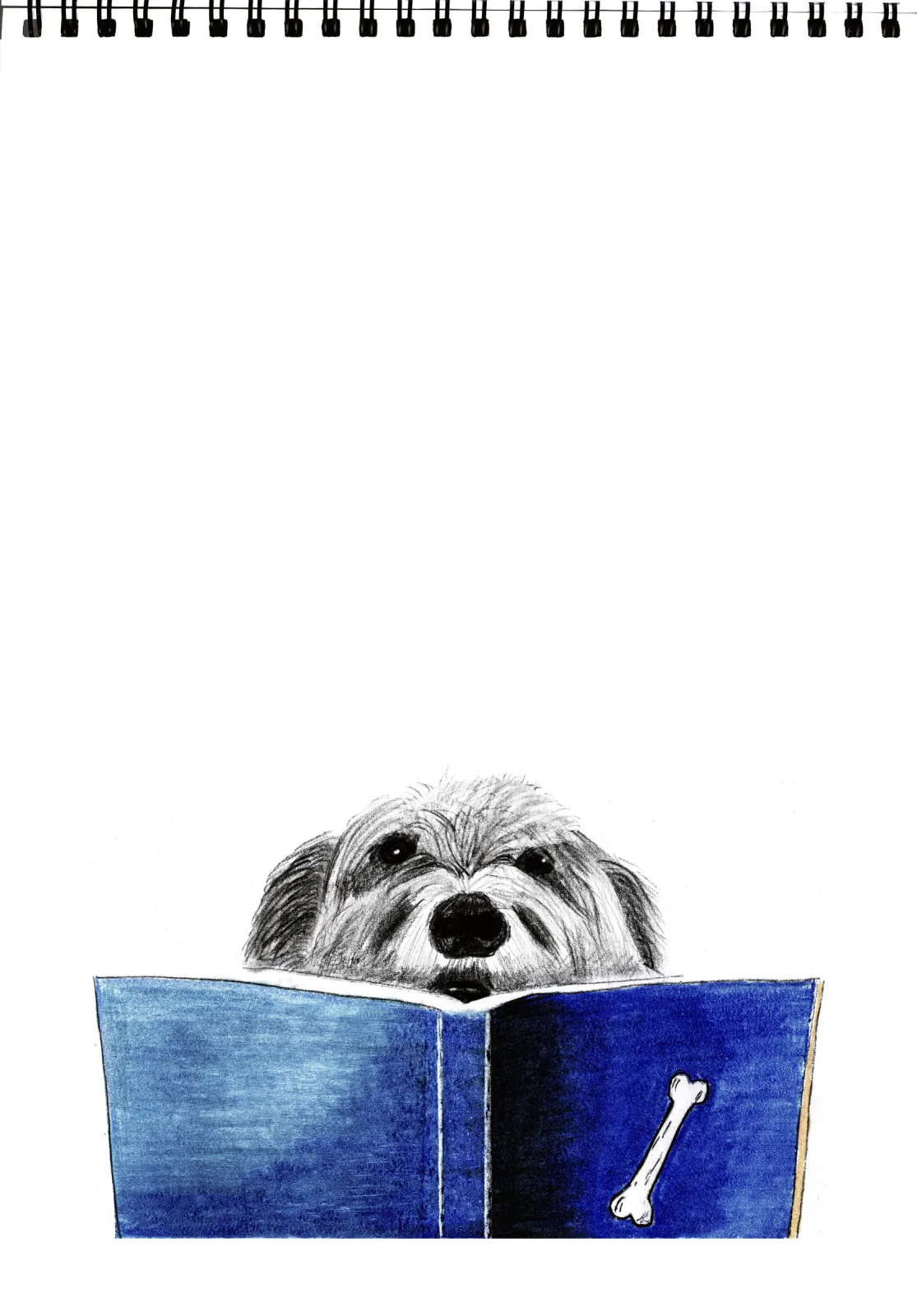 "Guidebook" Day 15 — drawing, 2024