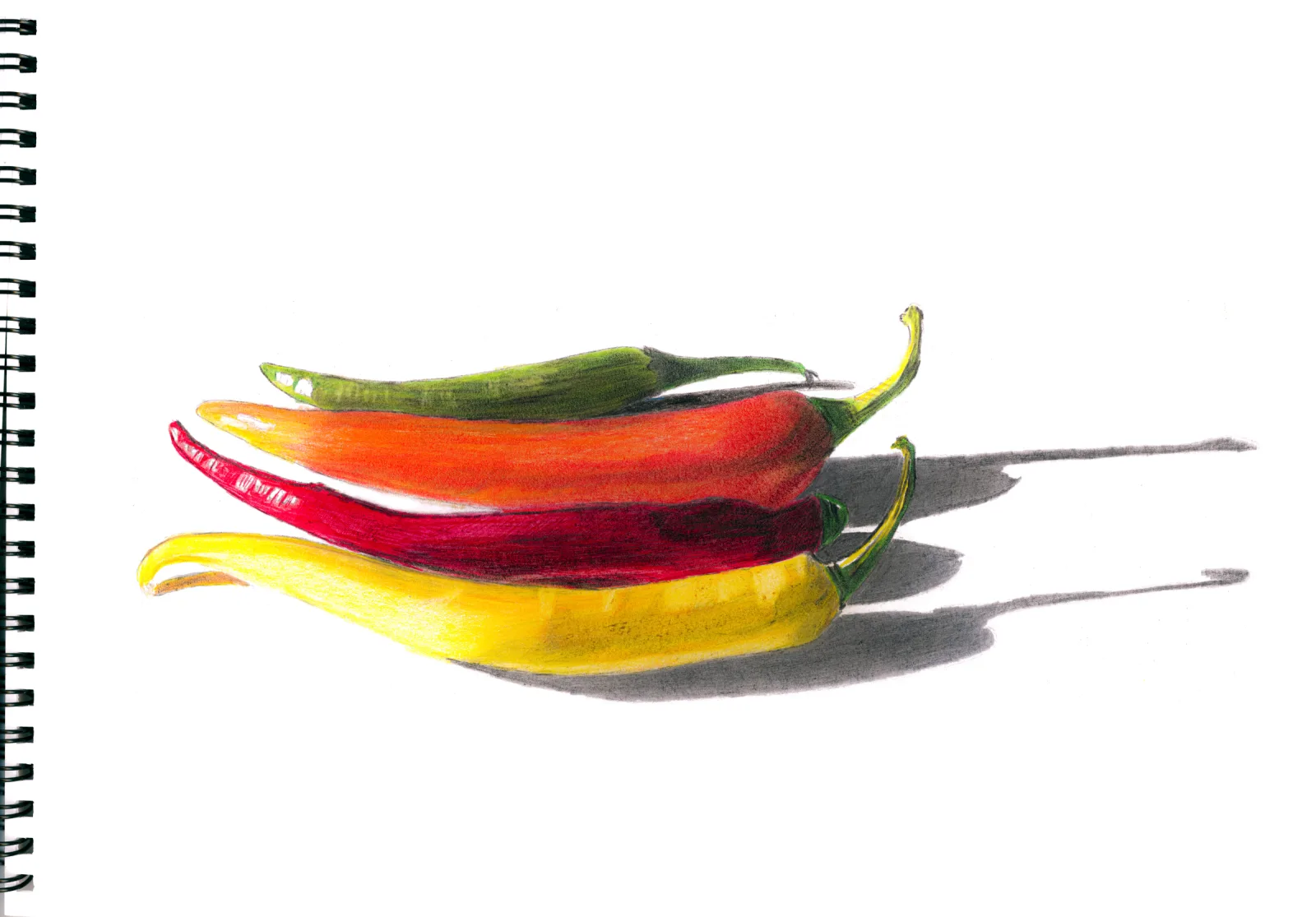"Spicey" Day 12 — drawing, 2023