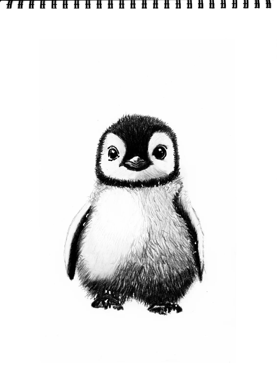 "Arctic" Day 19 — drawing, 2025