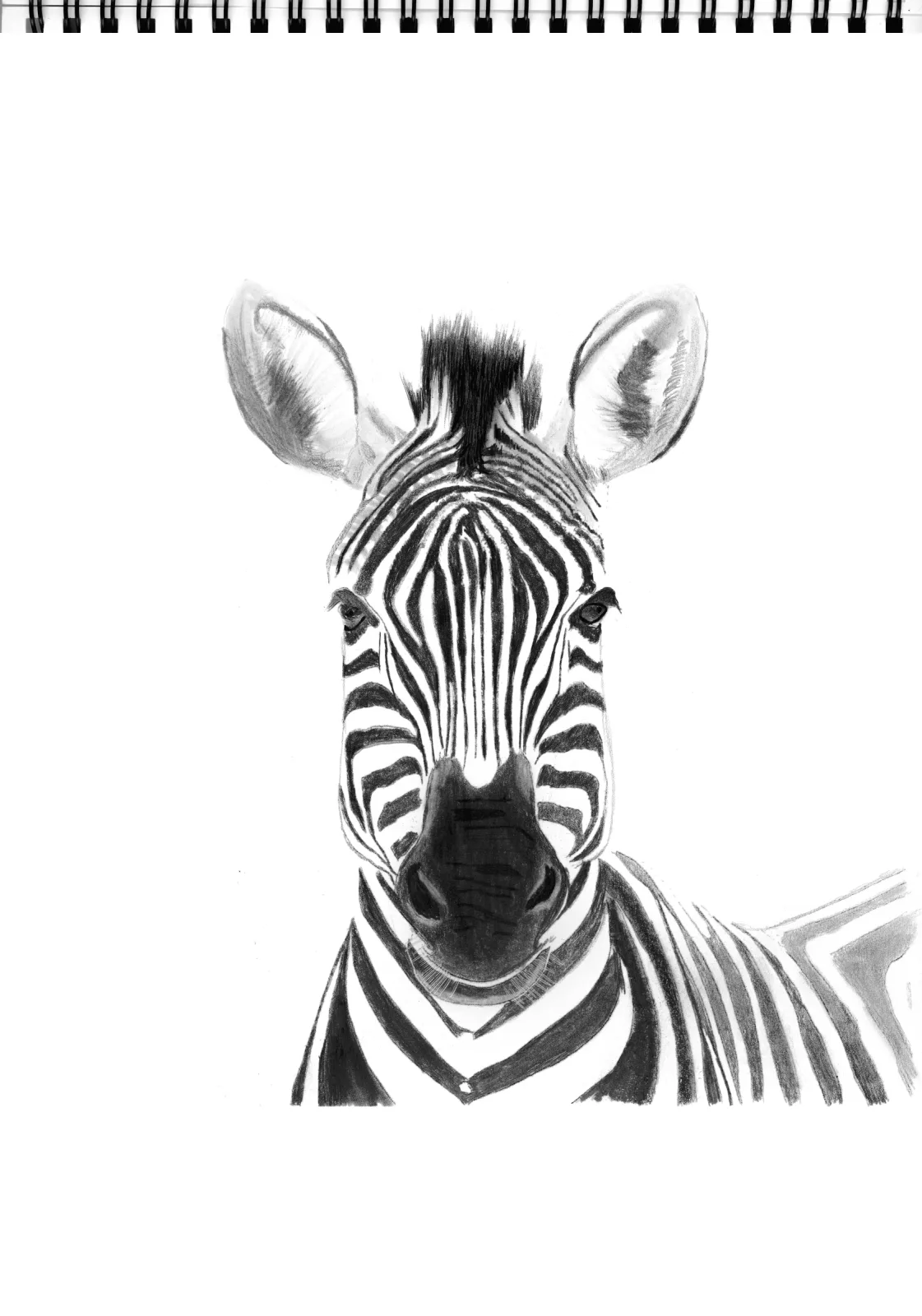 "Exotic" Day 4 — drawing, 2024