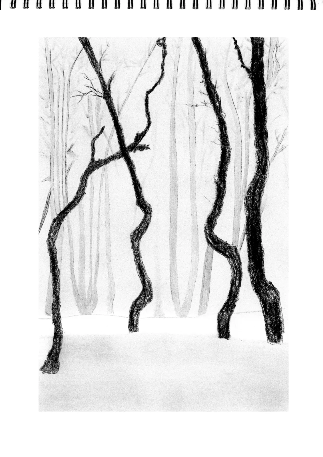 "Trunk" Day 14 — drawing, 2025