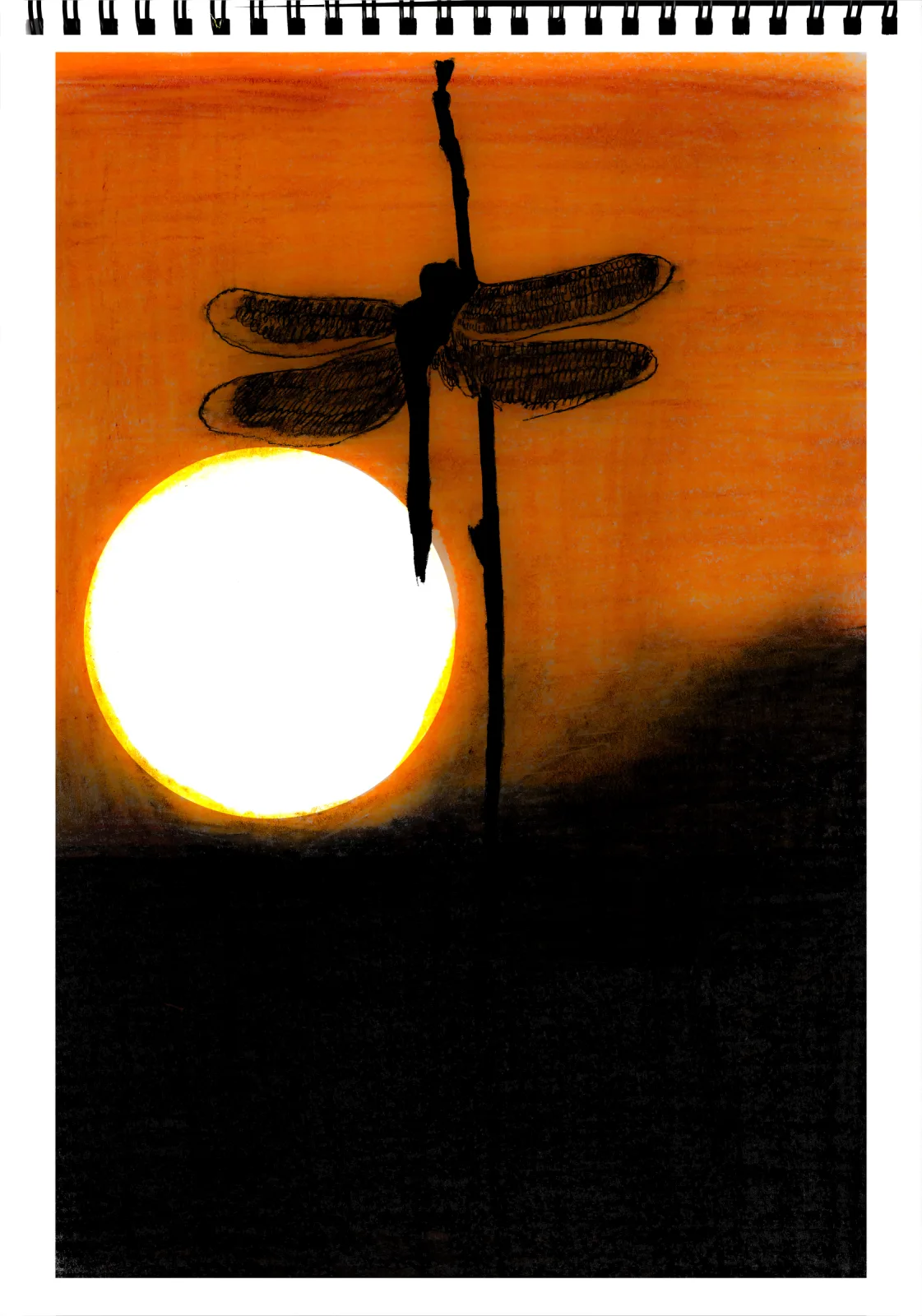"Sun" Day 9 — drawing, 2024