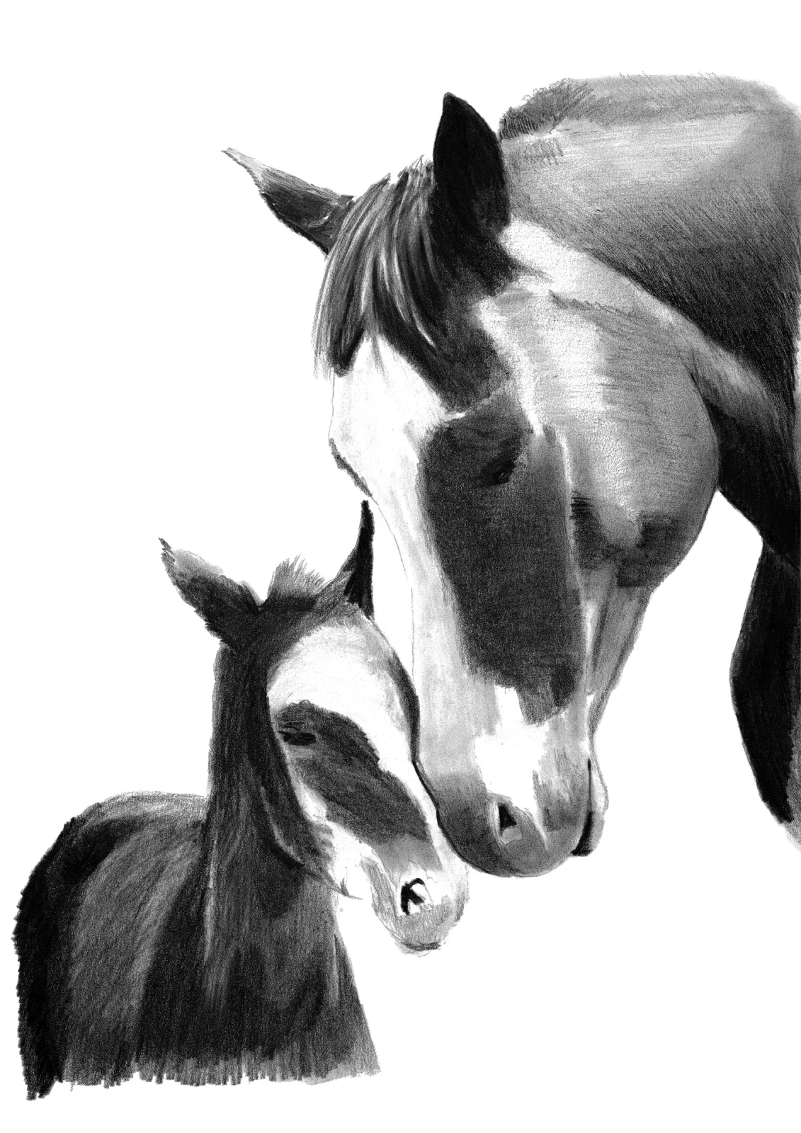 Touch me gently — pencil drawing, 2024
