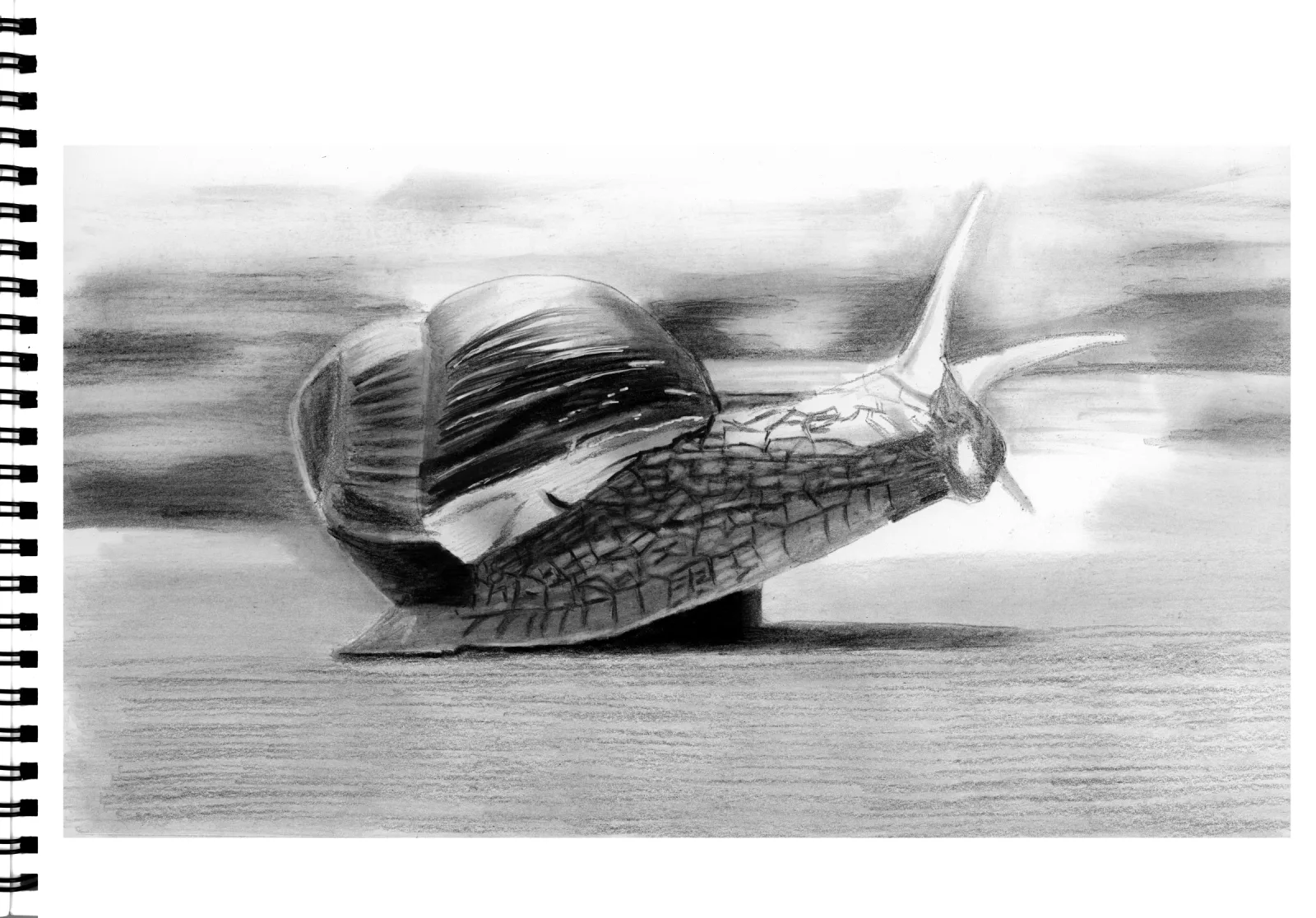 "Rush" Day 30 — drawing, 2023