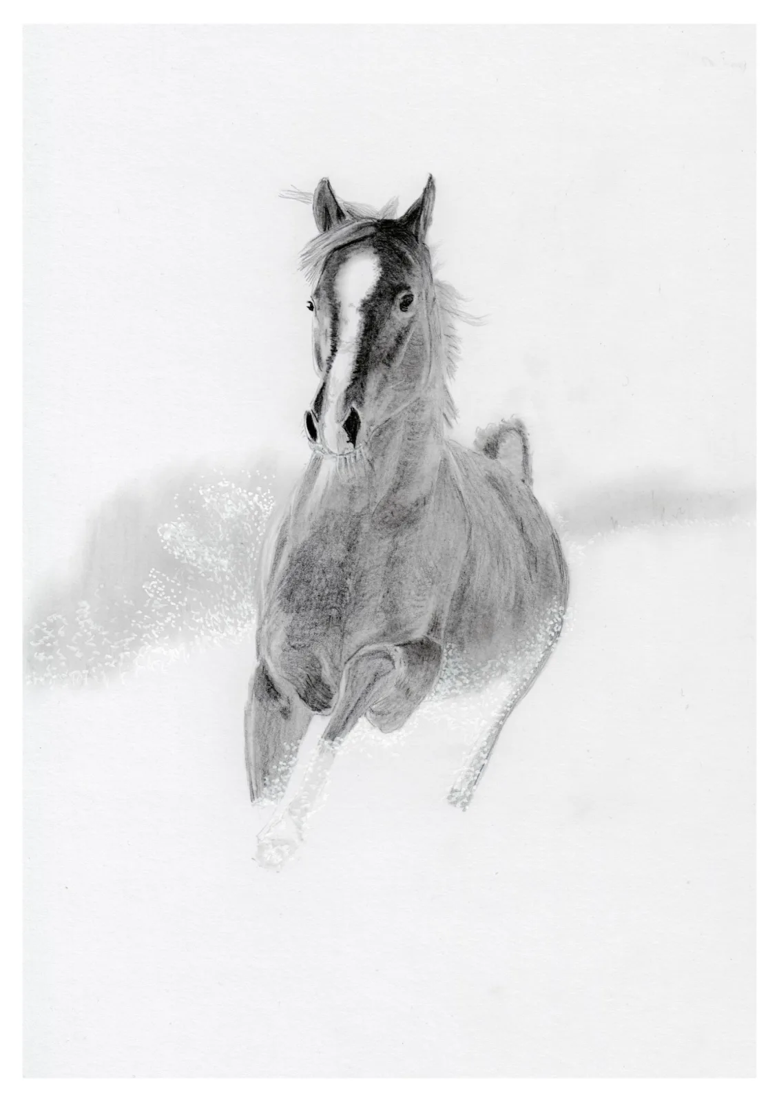 Horse Power — pencil drawing, 2022