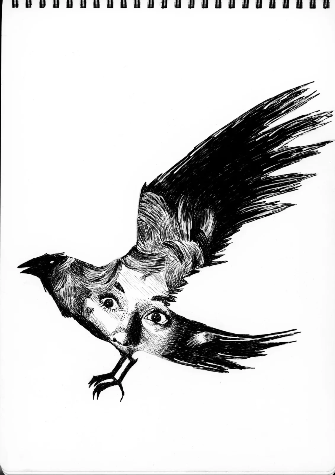 Fowl — drawing, 2022