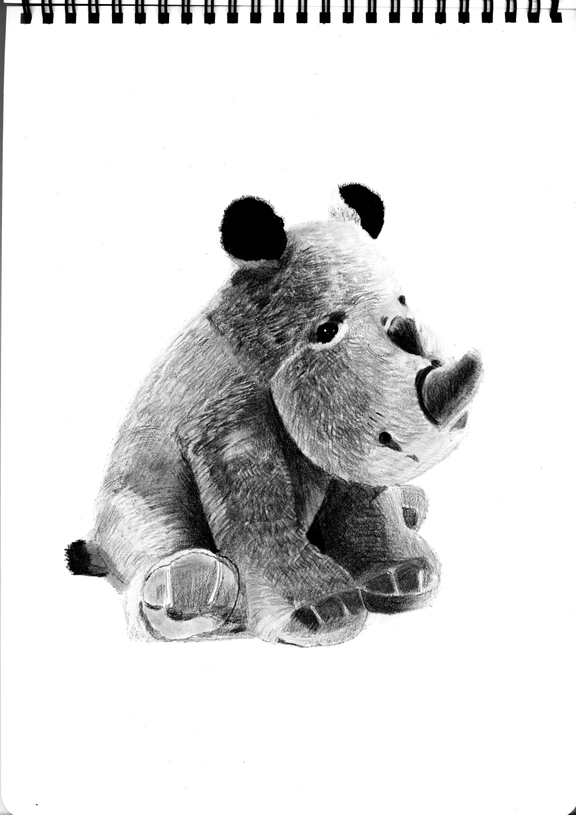 "Rhinoceros" Day 21 — drawing, 2024