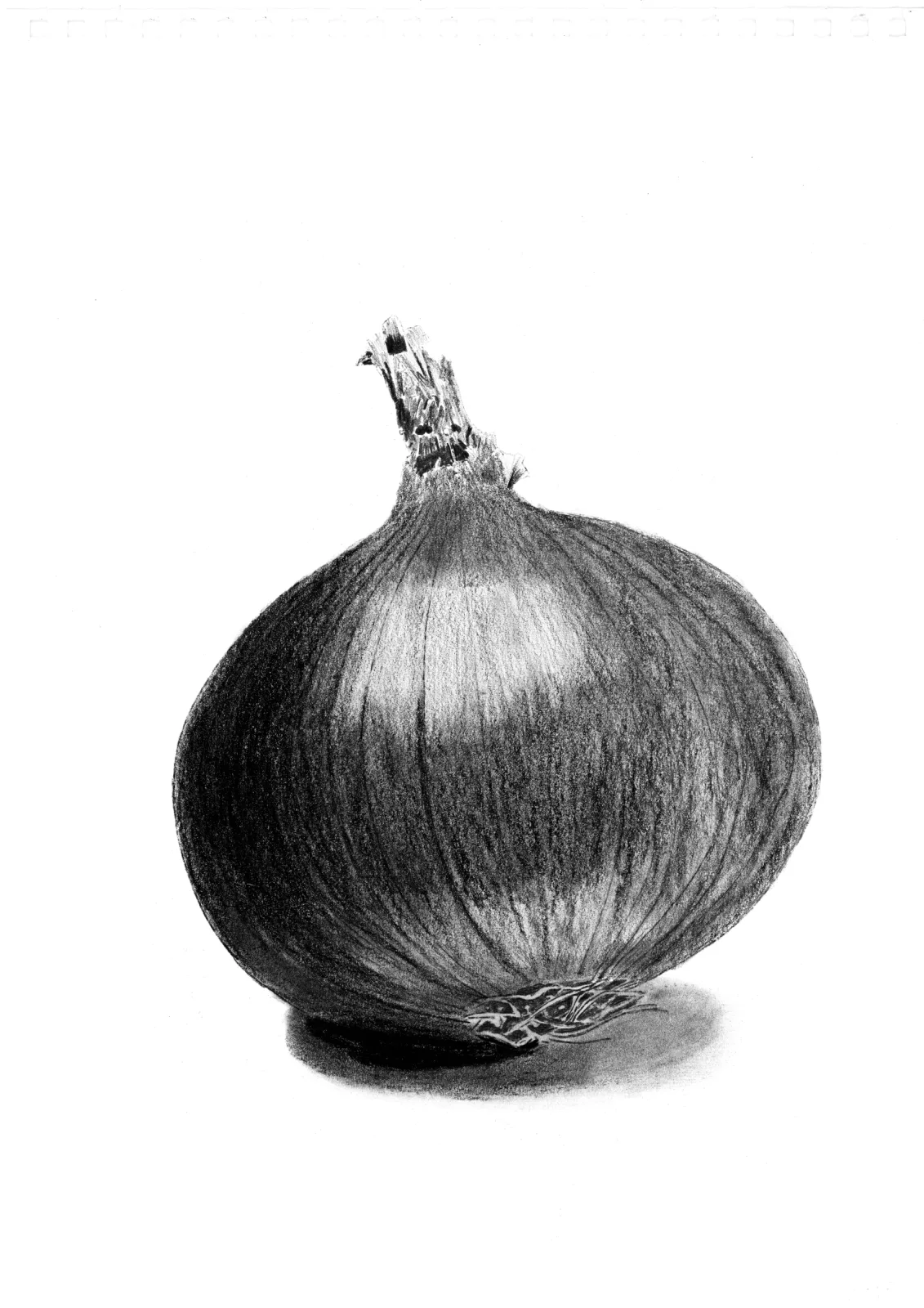 "Onion" Day 27 — drawing, 2025