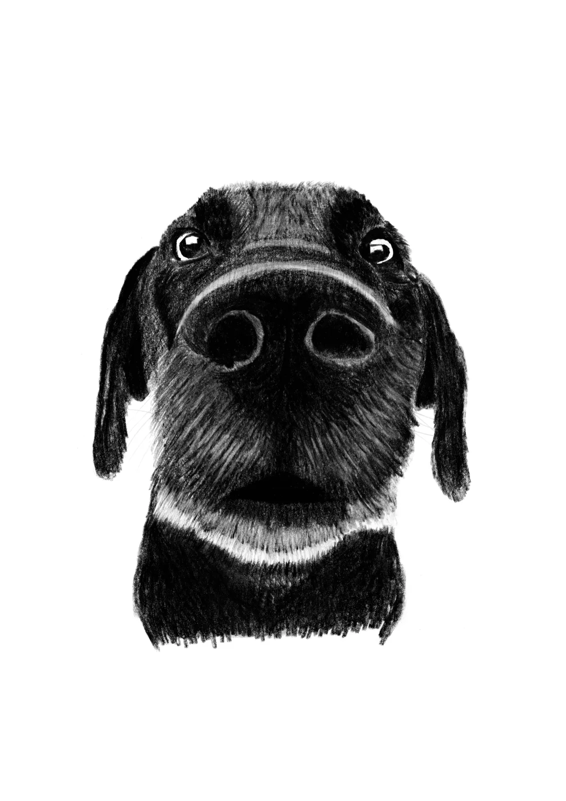 "Button" Day 22 — drawing, 2025