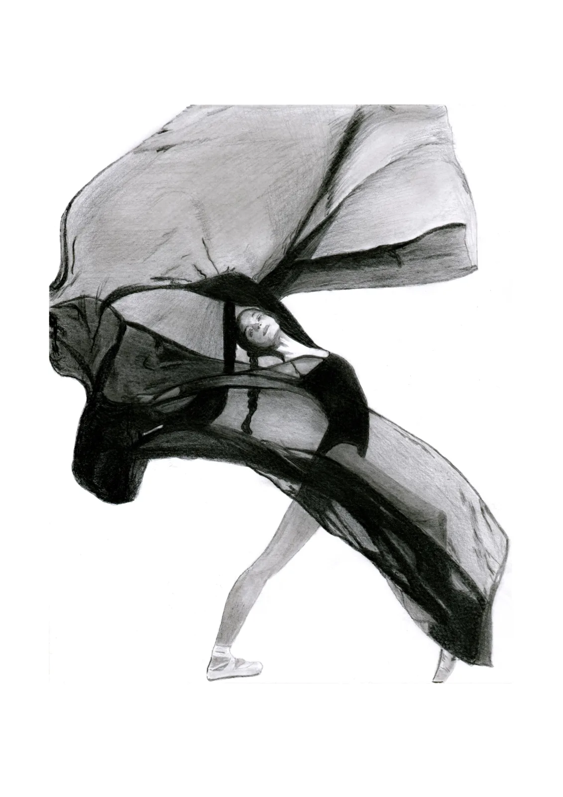 Black swan — pencil drawing, 2022