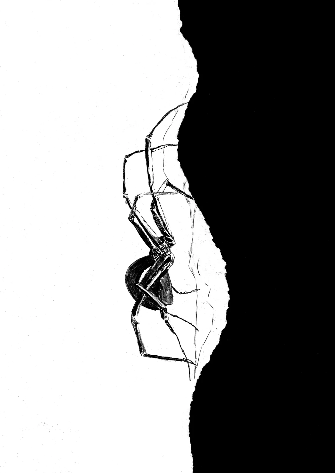 "Weave" Day 2 — drawing, 2025
